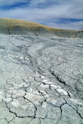 Escalante - Cracked Mud