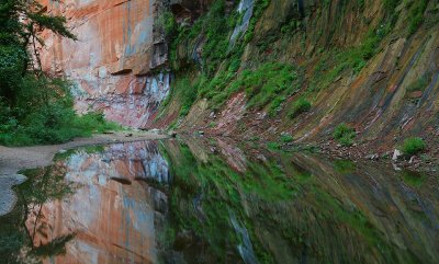 Oak Creek West Fork Reflection