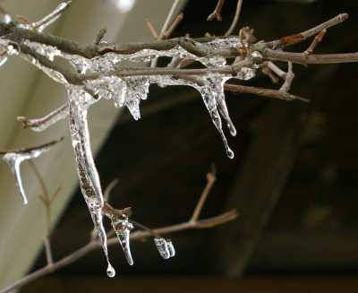 Beginning of Winter-2007