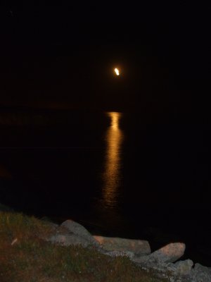Moon light on Lake Erie.JPG