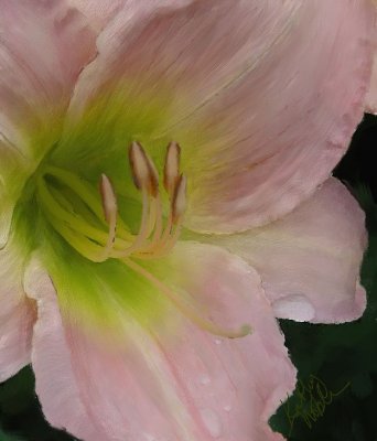 Daylily01sig.jpg