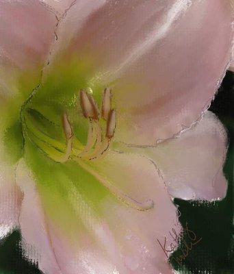 Daylily02-3sig.jpg