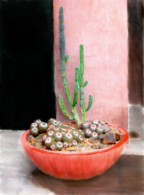 Cactus Bowl.jpg