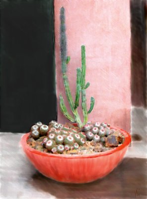 Cactus Bowl 05.jpg