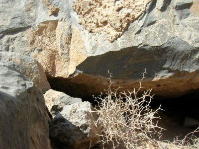WadiBih-Oct2006 (012).jpg