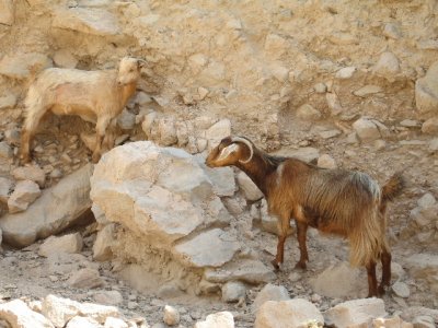 WadiBih-Oct2006 (029).jpg