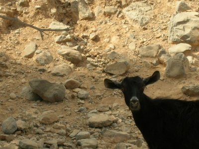 WadiBih-Oct2006 (032).jpg