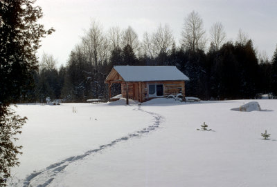 The cabin in its first winter