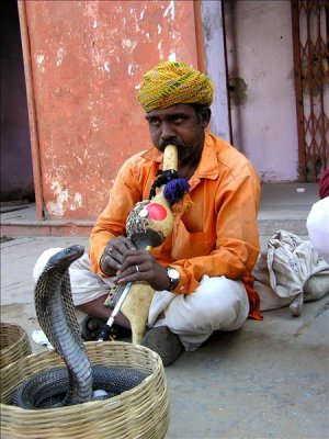 Snake charmer at Jaipur
