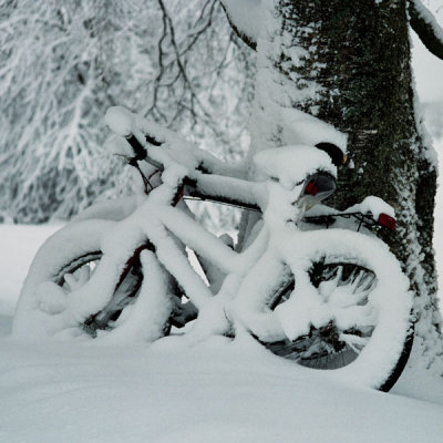 Snowy bikes