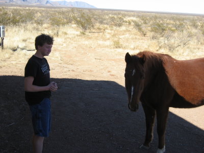 Matthew and Horse