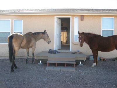 Front Entrance Sentries