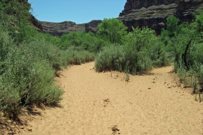 Sandy path down to the falls