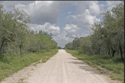 Caliche ranch road.jpg