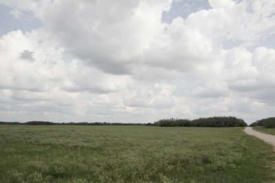Another pasture.jpg