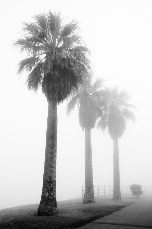 December 24th - Christmas Eve In SoCal