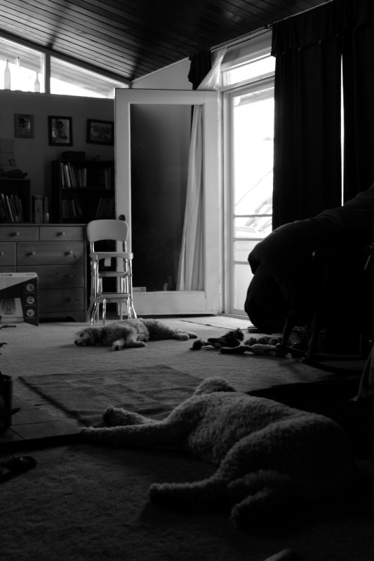 March 10th - Back Door