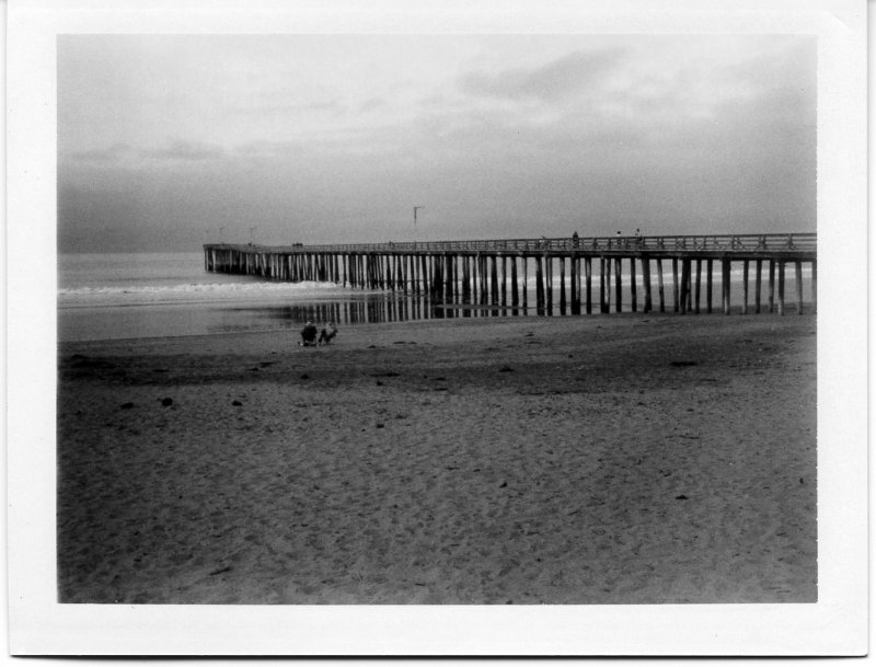 Cayucos Pier 1