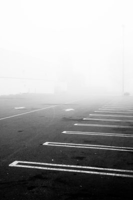 November 19th - Fog