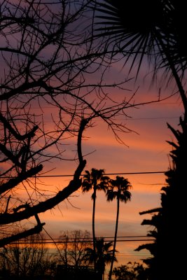 March 11th - Suburban Sunset