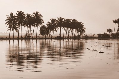 Timeless backwaters