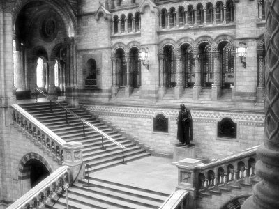 Inside the Natural History Museum in Black and White