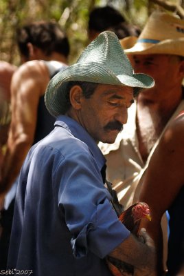 El campesino y su gallo