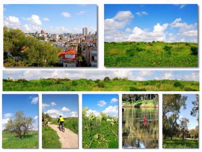 Tel Aviv-Ramat Gan  Collage.jpg