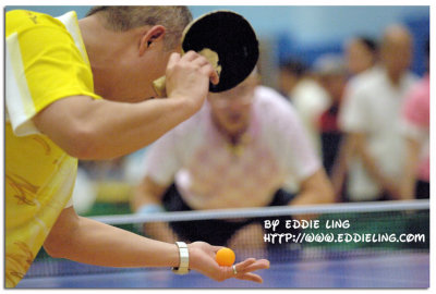 Hong Kong International Veterans Table Tennis Invitation Championships 2006