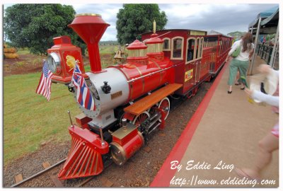 Train tour at Dole Plantation