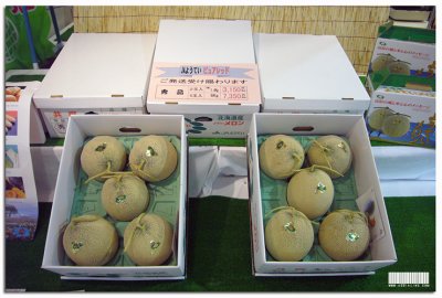 Hokkaido Melon