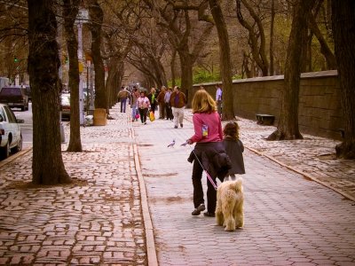Along 5th Avenue near Central Park