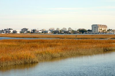 marshwalk5.jpg