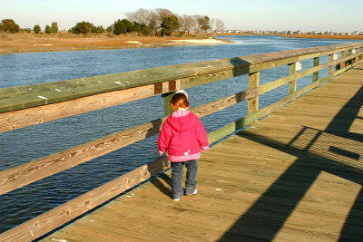 marshwalk11.jpg
