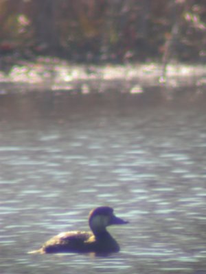 g6/40/506640/3/70826750.ggbzXiPm.jpg