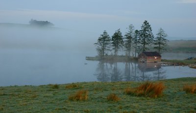 Spring Dawn.jpg