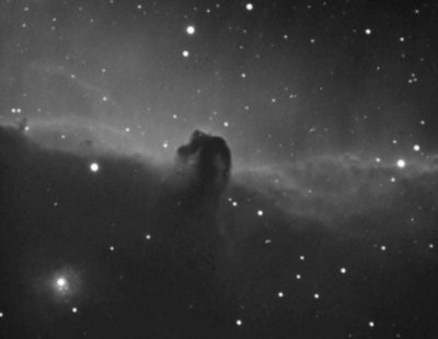 Horsehead in Ha