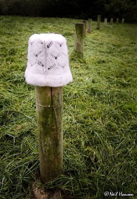 Hat on a Post