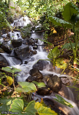 Eden Waterfall