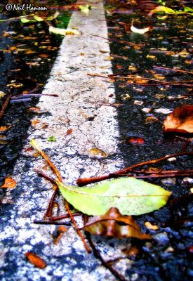 Leaves on the Line