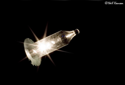 One Light