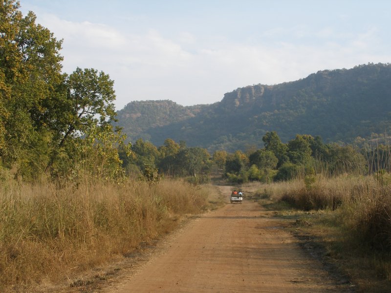 Scenery inside park