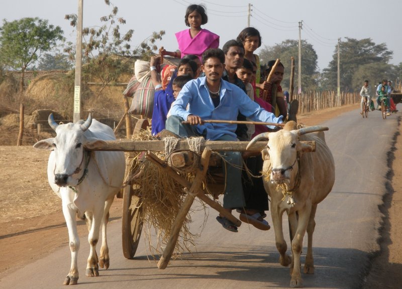 Bullock cart