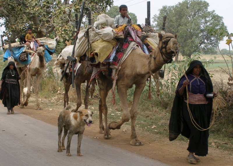Family on the move
