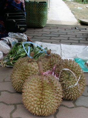 Durians for sale, platform 1, Gua Musang