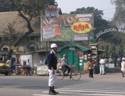 Tiger ad, zoo entrance