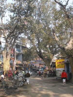 Street, Assi Ghat