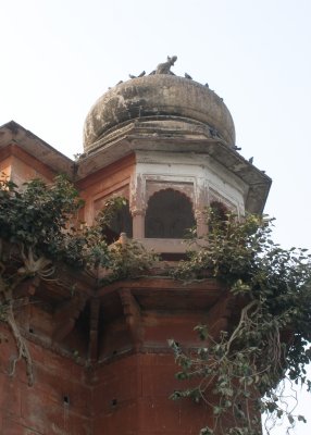 Tower above ghats