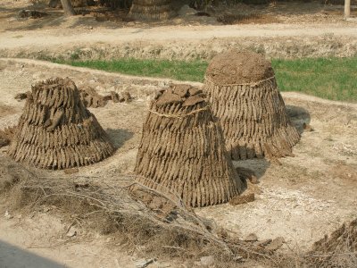 Dung heaps seen from train