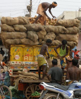 Truckload of coconuts, Sanjay Bazaar
